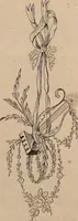 An illustration from Zeichen- Mahler- und Stickerbuch zur Selbstbelehrung für Damen, welche sich mit diesen Künsten beschäftigen (1795)