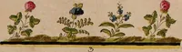 Picture 51 of 118 from Zeichen- Mahler- und Stickerbuch zur Selbstbelehrung für Damen, welche sich mit diesen Künsten beschäftigen (1795), leaf 60