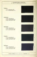 An illustration from Zeitgemässe Töne auf Damentuch (1890)