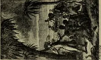 An illustration from Zeitgenossen Chodowieckis; lose Blätter schweizerischer Buchkunst (1921)