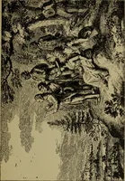 An illustration from Zeitgenossen Chodowieckis; lose Blätter schweizerischer Buchkunst (1921)