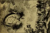An illustration from Zeitgenossen Chodowieckis; lose Blätter schweizerischer Buchkunst (1921)
