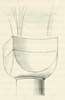 An illustration from Zeitschrift für christliche Archäologie und Kunst (1856)