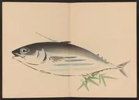 An illustration from Zeshin iboku tairyūkyo gafu (1907)