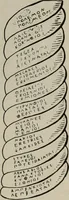 Picture 129 of 559 from Zeus : a study in ancient religion (1914), leaf 274