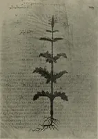 Picture 264 of 559 from Zeus : a study in ancient religion (1914), leaf 509