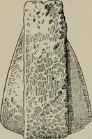 Picture 310 of 559 from Zeus : a study in ancient religion (1914), leaf 626