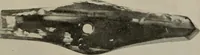 An illustration from Zeus : a study in ancient religion (1914)