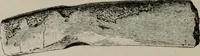 An illustration from Zeus : a study in ancient religion (1914)