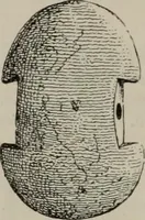 An illustration from Zeus : a study in ancient religion (1914)