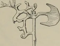 An illustration from Zeus : a study in ancient religion (1914)