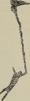 An illustration from Zeus : a study in ancient religion (1914)