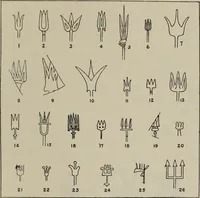 Picture 528 of 559 from Zeus : a study in ancient religion (1914), leaf 925