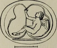 Picture 100 of 215 from Zeus : a study in ancient religion (1914), leaf 207