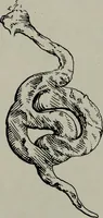 An illustration from Zeus : a study in ancient religion (1914)