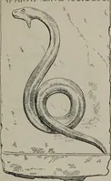 An illustration from Zeus : a study in ancient religion (1914)
