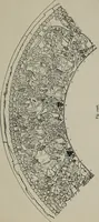 An illustration from Zeus : a study in ancient religion (1914)
