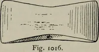 An illustration from Zeus : a study in ancient religion (1914)