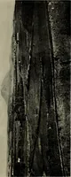 An illustration from Zeus : a study in ancient religion (1914)