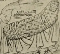 Picture 101 of 648 from Zeus : a study in ancient religion (1914), leaf 204