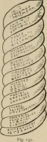 Picture 149 of 648 from Zeus : a study in ancient religion (1914), leaf 274