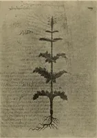 Picture 278 of 648 from Zeus : a study in ancient religion (1914), leaf 506