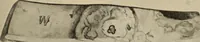 Picture 345 of 648 from Zeus : a study in ancient religion (1914), leaf 626