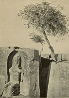 Picture 423 of 648 from Zeus : a study in ancient religion (1914), leaf 714