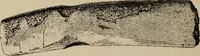 An illustration from Zeus : a study in ancient religion (1914)