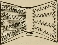 Picture 466 of 648 from Zeus : a study in ancient religion (1914), leaf 762