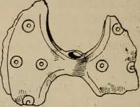 Picture 473 of 648 from Zeus : a study in ancient religion (1914), leaf 767