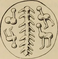 Picture 497 of 648 from Zeus : a study in ancient religion (1914), leaf 784