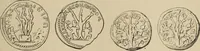 Picture 509 of 648 from Zeus : a study in ancient religion (1914), leaf 802