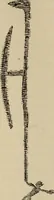 An illustration from Zeus : a study in ancient religion (1914)