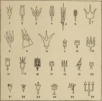 An illustration from Zeus : a study in ancient religion (1914)