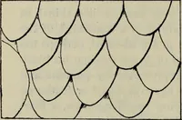 An illustration from Zeus : a study in ancient religion (1914)