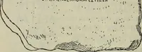 An illustration from Zeus : a study in ancient religion (1914)