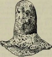 An illustration from Zeus : a study in ancient religion (1914)