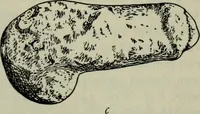 An illustration from Zeus : a study in ancient religion (1914)