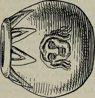 An illustration from Zeus : a study in ancient religion (1914)