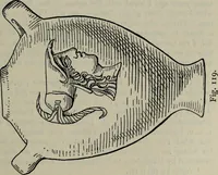 An illustration from Zeus : a study in ancient religion (1914)