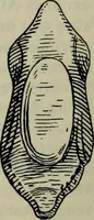 An illustration from Zeus : a study in ancient religion (1914)