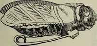 An illustration from Zeus : a study in ancient religion (1914)