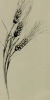 An illustration from Zeus : a study in ancient religion (1914)