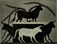 An illustration from Zeus : a study in ancient religion (1914)