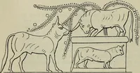 An illustration from Zeus : a study in ancient religion (1914)