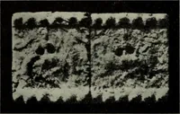 An illustration from Zeus : a study in ancient religion (1914)