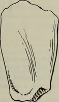 An illustration from Zeus : a study in ancient religion (1914)