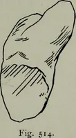 An illustration from Zeus : a study in ancient religion (1914)