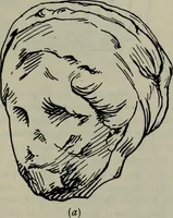 An illustration from Zeus : a study in ancient religion (1914)
